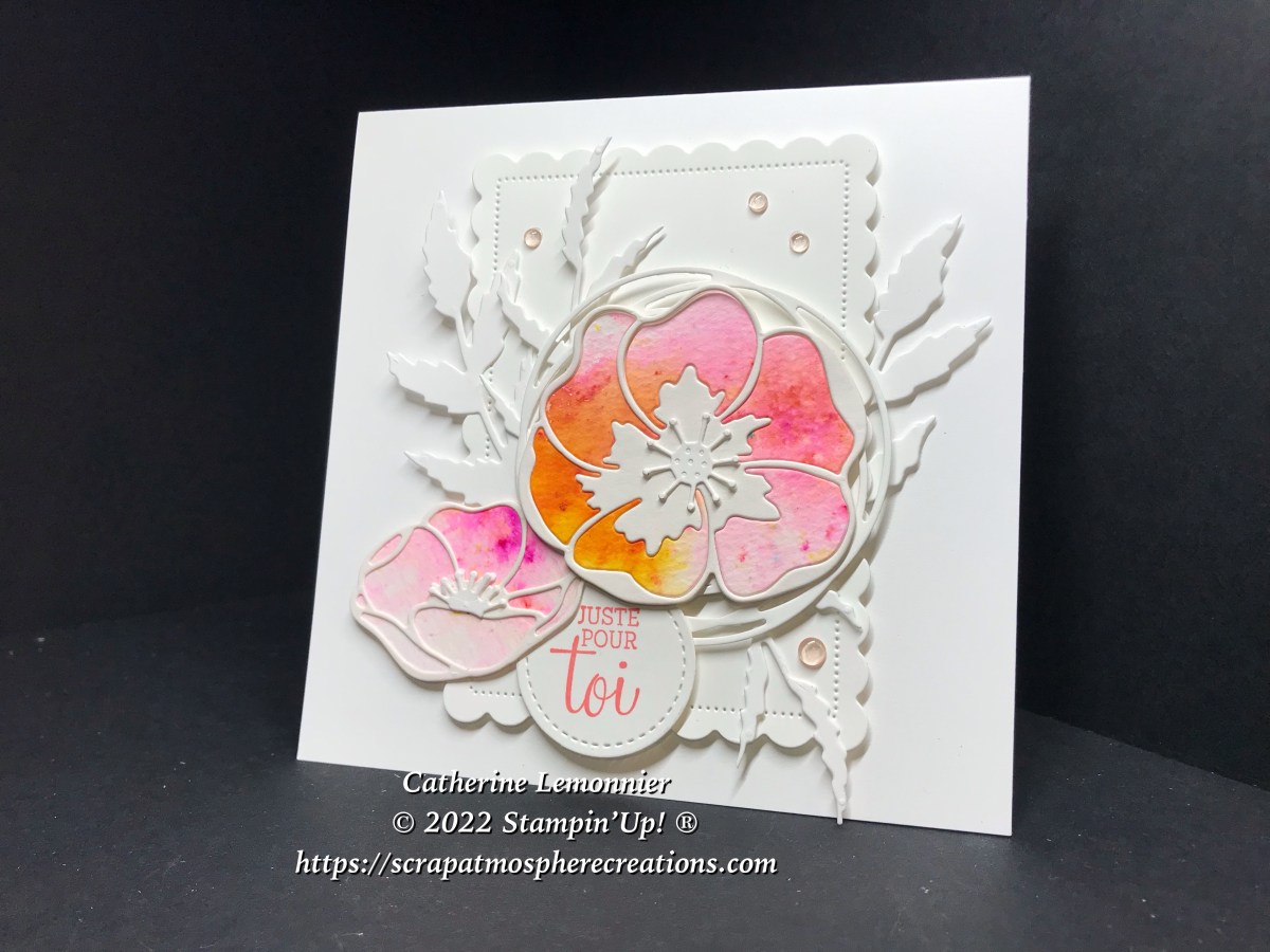 Saison du coquelicot