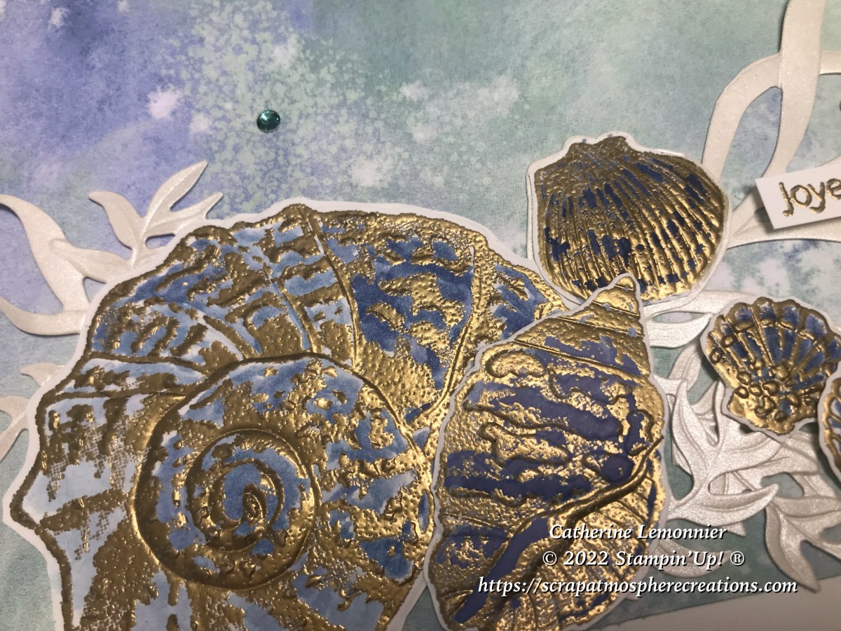 Coquillages au masculin