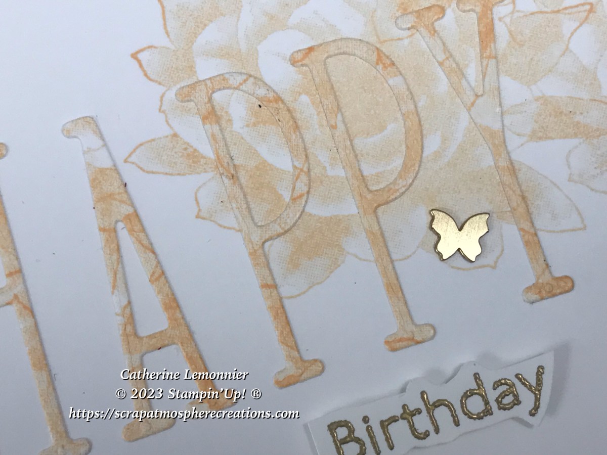 Délicatesse du désert